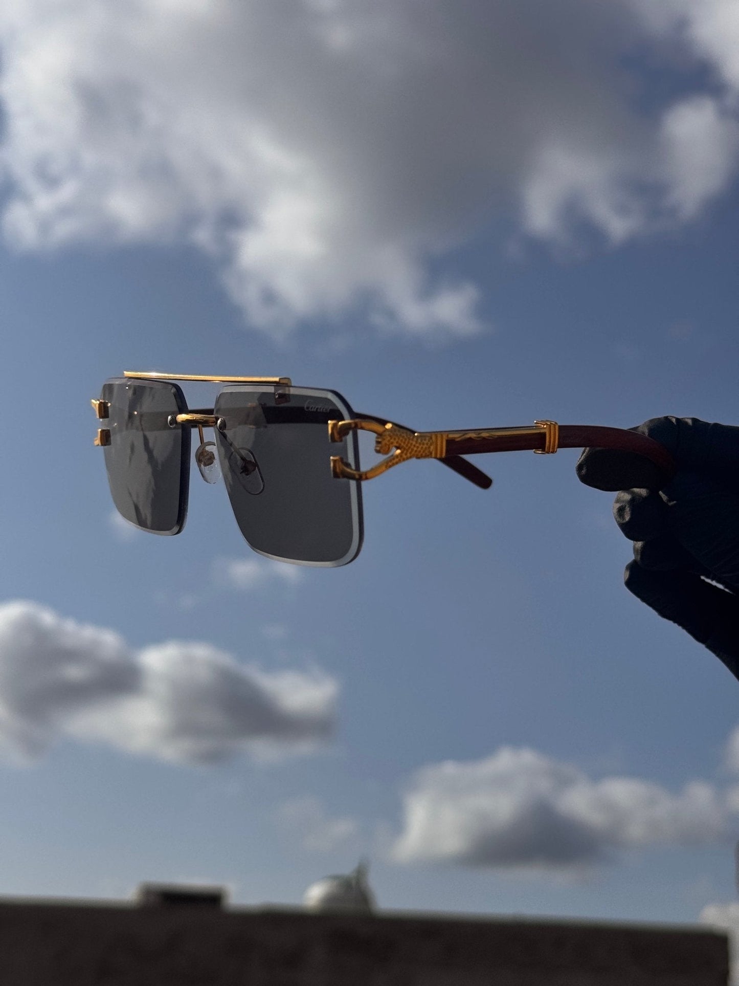 Cheetah Magic Glasses (1 Glasses, 5 Benefits)