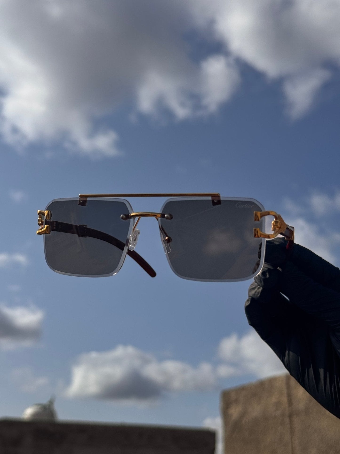 Cheetah Magic Glasses (1 Glasses, 5 Benefits)